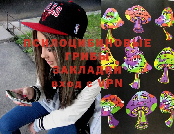 винт Сосновый Бор