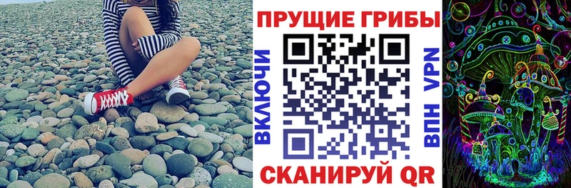 Псилоцибиновые грибы GOLDEN TEACHER  Кувшиново 